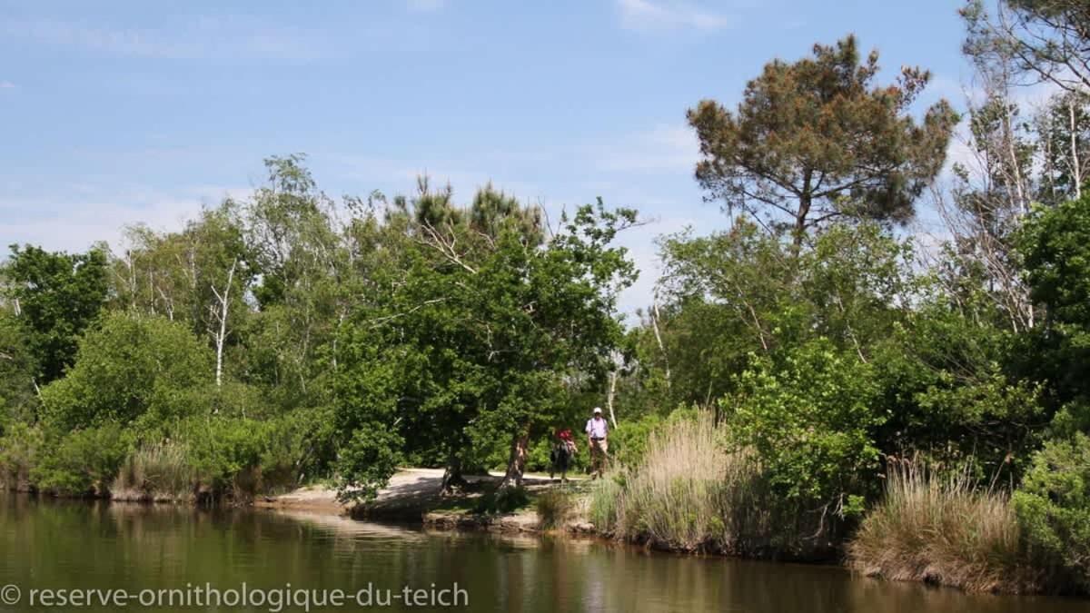 Beautiful Louisiana Villa Sleeps 6 With Pool Mios Zewnętrze zdjęcie